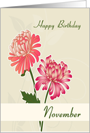 Chrysanthemum November Birth Flower for Birthday card