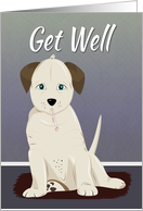 Sick Cream Colored Puppy with Thermometer for Get Well card
