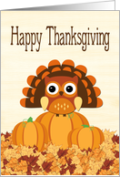 Owl with Turkey Feathers on Pumpkins for Thanksgiving card