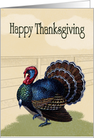 Colorful Vintage Turkey in Front of Wood Fence for Thanksgiving card