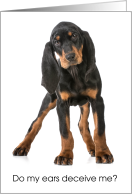 Black & Tan Coonhound Puppy for Birthday card