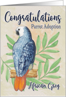 Congratulations on African Grey Parrot Adoption card