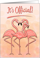 Announcing Adult Adopting with Flamingo Family card
