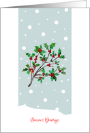 Season’s Greetings with Stylized Holly, Christmas Card, Falling Snow card