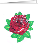 Red Rose, Valentine’s Day card