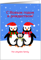 Christmas new year penguins russian custom text card