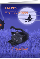 Happy Halloween Grandson with moon, witch and black cat card