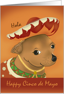 Hola, Happy 1st Cinco de Mayo with Chihuahua in Hat, Poncho card