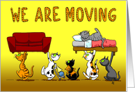 Moving Cats New Address Announcement card