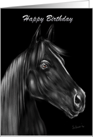 Black Stallion Birthday Wishes for Horse Lover card