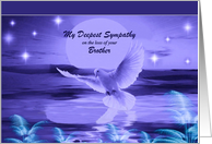 On the loss of your Brother - My Deepest Sympathy - Dove Over Water card