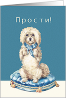I’m sorry in Russian, Prasti, Sweet Vintage Dog card