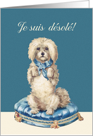 I’m sorry in French, Je suis dsol, Sweet Vintage Dog card