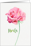 Thank you in Slovenian, Hvala, Watercolor Pink Rose card