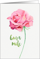 Thank you in Irish Gaelic, Watercolor Pink Rose card