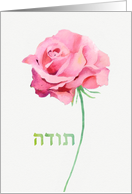 Thank you in Hebrew, Watercolor Pink Rose card