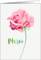 Thank you in French, Merci, Watercolor Pink Rose card