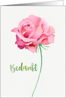 Thank you in Dutch, Bedankt, Watercolor Pink Rose card