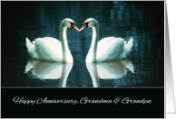 Happy Wedding Anniversary, Grandma and Grandpa, Swans card