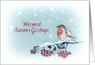 Warmest Season’s Greetings, Robin and Berries, Painting card