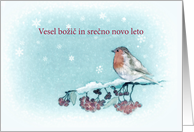 Merry Christmas in Slovenian, Robin, Berries, Painting card