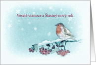 Merry Christmas in Slovak, Robin, Berries, Painting card