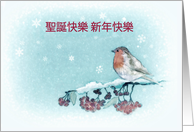 Merry Christmas in Chinese, Robin, Berries, Painting card