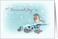 Peace and Joy, Merry Christmas, Robin card