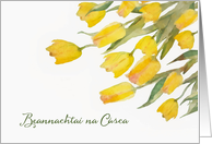 Happy Easter in Irish Gaelic, Tulips, Watercolor Painting card