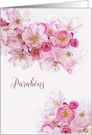 Happy Birthday in Portuguese, Parabns, Blossoms card