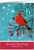 Season’s Greetings From All of Us, Cardinal Bird, Berries card