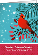 Future Brother-in-Law, Warm Christmas Wishes, Cardinal, Berries card