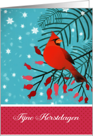 Merry Christmas in Dutch, Fijne Kerstdagen, Cardinal Bird card