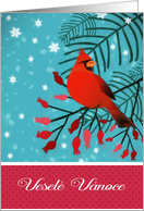 Merry Christmas in Czech, Vesel Vnoce, Cardinal Bird card