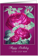 Birthday Blessings to my Step Mom, Purple/Red Roses card
