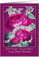 Birthday Blessings to my Great Grandma, Purple/Red Roses card