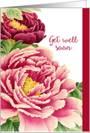 Get Well Soon, Vintage Peonies card