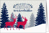 Dear Grandchildren, Merry Christmas, Reindeer, Forest card