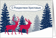 Merry Christmas in Russian, Deer in Forest card