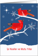 Merry Christmas in Turkish, Red Cardinal Birds, Snowflakes card
