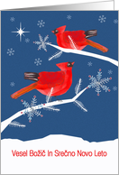 Merry Christmas in Slovenian, Red Cardinal Birds card