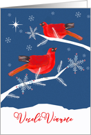 Merry Christmas in Slovak, Vesel Vianoce, Red Cardinal Birds card