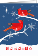 Merry Christmas in Korean, Red Cardinal Birds card