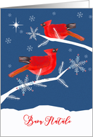 Merry Christmas in Italian, Buon Natale, Red Cardinal Birds card