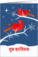 Christmas Greetings in Hindi, Cardinal Birds, Shining Star card