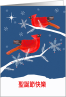 Merry Christmas in Chinese, Cardinal Birds, Winter Landscape, Star card