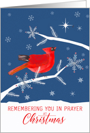 Christian, Remembering You in Prayer at Christmas, Cardinal Bird, Star card