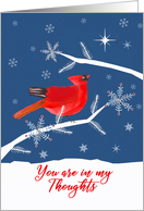 In Remembrance, First Christmas alone after Loss, Cardinal Bird card