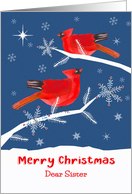 Dear Sister, Merry Christmas, Cardinal Bird, Winter card