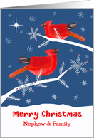 Nephew and his Family, Merry Christmas, Cardinal Bird, Winter card